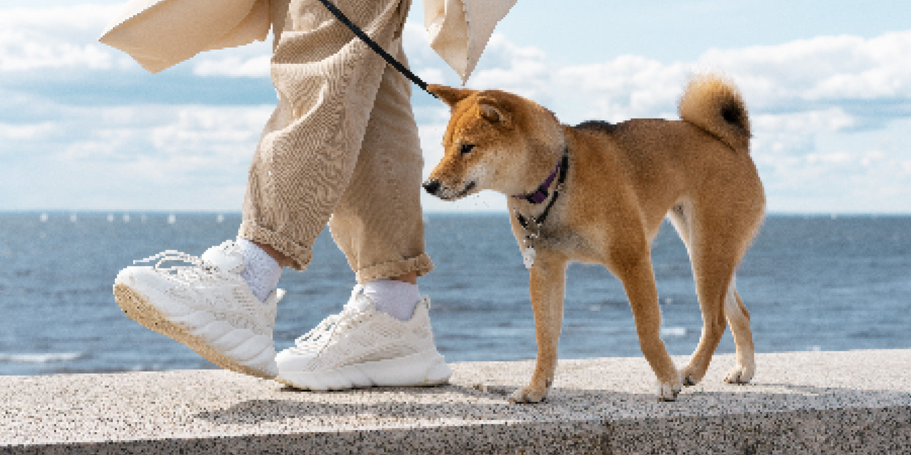 Strengthening the Bond: 7 Effective Ways to Deepen Your Connection with Your Dog