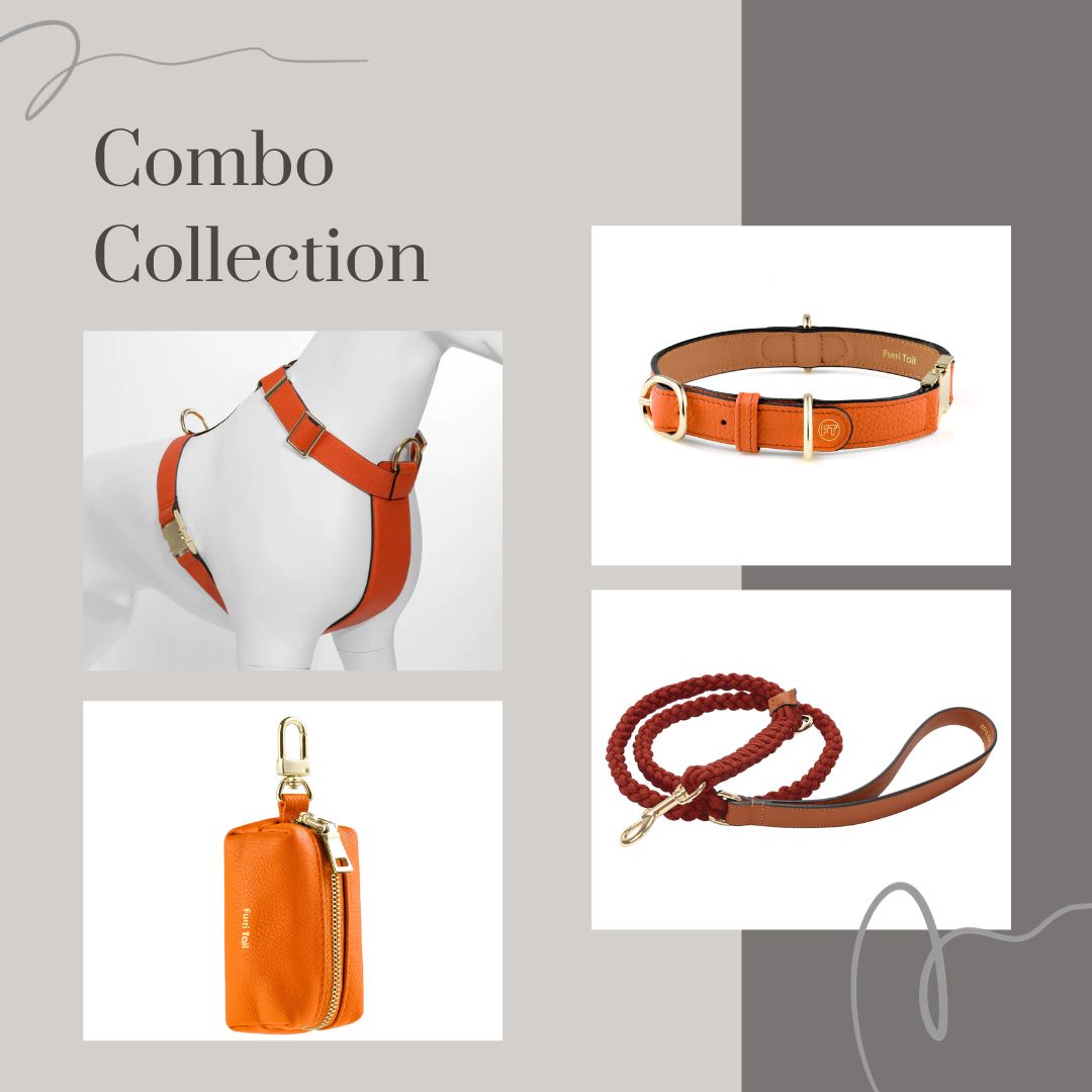 Premium Saffron Orange Leather Dog Collar Harness Leash Poop Bag Dispenser Combo