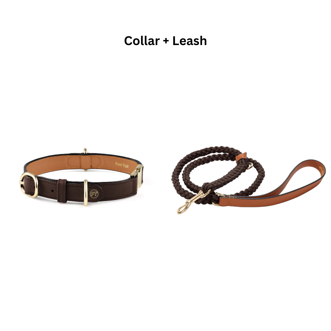 Handcrafted Engraved Leather Dog Collar - Cognac Brown