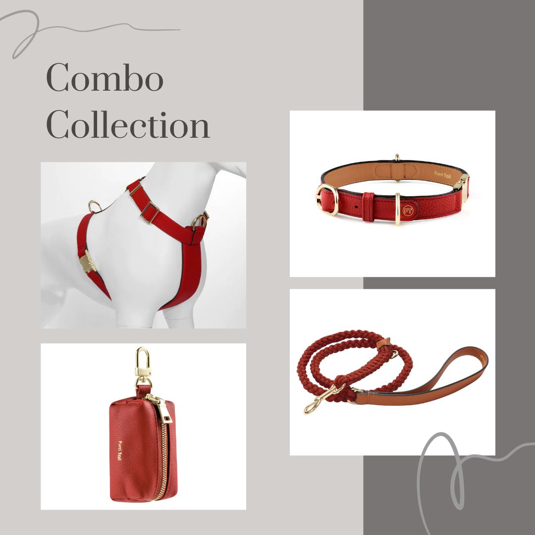  Premium Leather Red Dog Collar Harness Leash Poop Bag Dispenser Combo