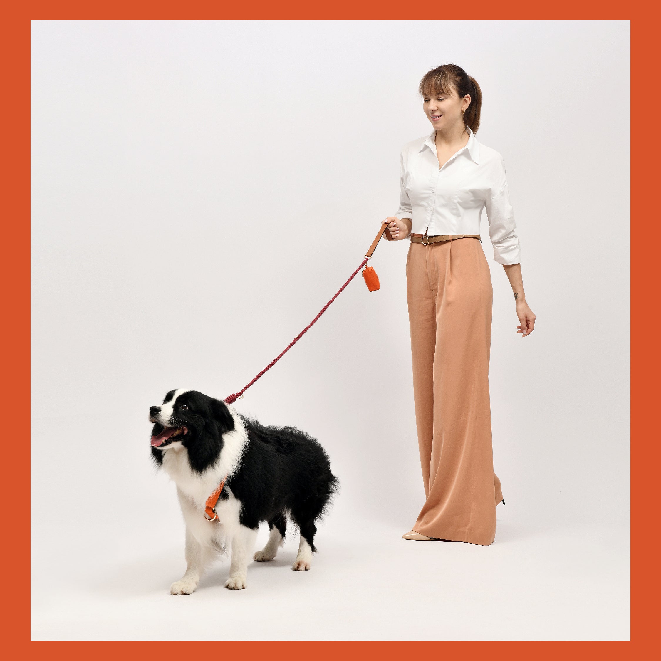  Premium Leather Saffron Orange Dog Accessories Combo