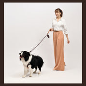  Premium Leather Cognac Brown Dog Accessories Combo