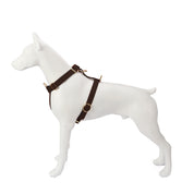  Premium Leather Cognac Brown Dog Harness