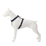 Premium Leather Navy Blue Dog Harness
