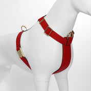  Premium Leather Red Dog Harness